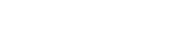 晨鸿新闻网